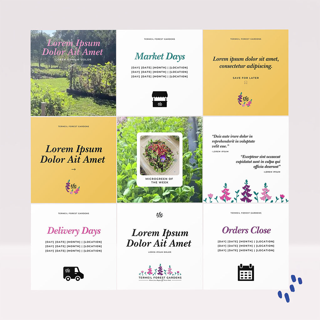 Social Media Content Canva Template