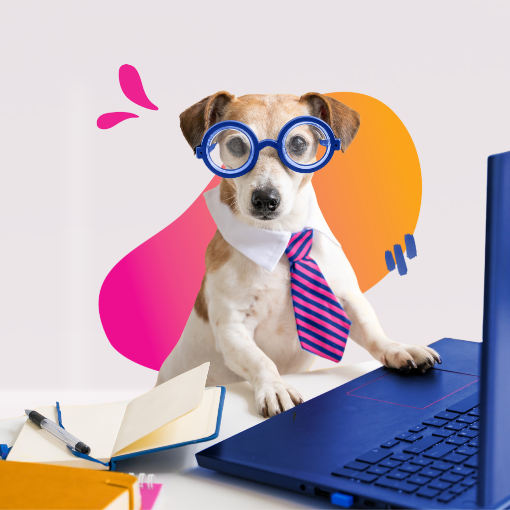 Canva Support Retainer